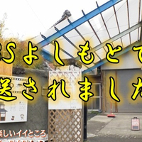 画像392