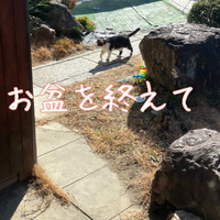 画像530